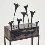 Alice Wang 王凝慧, Untitled 无题, 2024