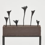Elizabeth Jaeger 伊丽莎白·耶格, Bird 鸟, 2020
