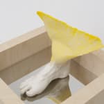 Miranda Fengyuan Zhang 张丰渊, BC6, 2025