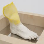 Miranda Fengyuan Zhang 张丰渊, BC6, 2025