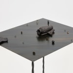 Elizabeth Jaeger 伊丽莎白·耶格, Bird 鸟, 2020