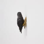 Elizabeth Jaeger 伊丽莎白·耶格, Bird 鸟, 2020
