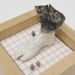 Miranda Fengyuan Zhang 张丰渊, BC6, 2025