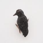 Alice Wang 王凝慧, Untitled 无题, 2024