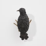 Elizabeth Jaeger 伊丽莎白·耶格, Bird 鸟, 2020