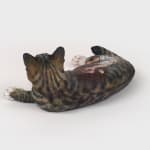 Huang Hai-Hsin 黄海欣, Not My Dog (Dog Olympic #2) 不是我的狗（犬类奥运会#2）, 2021