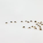 Elizabeth Jaeger 伊丽莎白·耶格, Beetles 甲壳虫, 2024