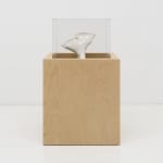 Miranda Fengyuan Zhang 张丰渊, BC6, 2025