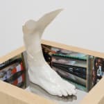 Miranda Fengyuan Zhang 张丰渊, BC6, 2025