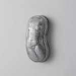 Tian Jianxin 田建新, Kidney (front) 腰子正, 2022