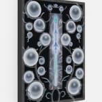 Mevlana Lipp 梅夫拉纳·利普, Needle 针, 2025