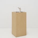 Miranda Fengyuan Zhang 张丰渊, BC6, 2025