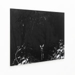 Luca Campestri 卢卡·坎佩斯特里, Like velvety scars 像天鹅绒般的伤痕, 2025