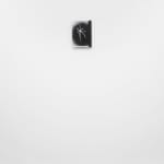 Luca Campestri 卢卡·坎佩斯特里, Watering the plants 给植物浇水, 2025