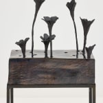 Alice Wang 王凝慧, Untitled 无题, 2024