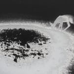 Luca Campestri 卢卡·坎佩斯特里, Necromass 长眠物, 2025