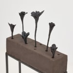 Elizabeth Jaeger 伊丽莎白·耶格, Bird 鸟, 2020