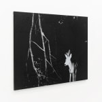 Luca Campestri 卢卡·坎佩斯特里, Necromass 长眠物, 2025