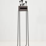Elizabeth Jaeger 伊丽莎白·耶格, Bird 鸟, 2020