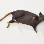 Elizabeth Jaeger 伊丽莎白·耶格, Rat 老鼠, 2024