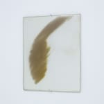 Alice Wang 王凝慧, Untitled 无题, 2018