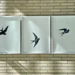 three black and white swallows on large sheet of paper