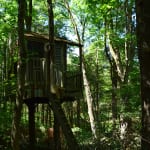 treehouse in the woods