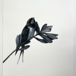 black and white swallow on branch with leaves