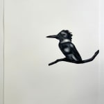 black and white kingfisher on a twig