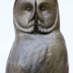 bronze barn owl - close up