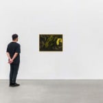 Antonio Henrique Amaral, Fundo verde, 1973