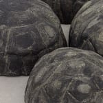 Zé Carlos Garcia, Jabuti (Preto series 01 - 05), 2025