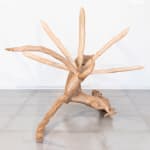 Zé Carlos Garcia, bode, 2023