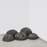Zé Carlos Garcia, Jabuti (Preto series 01 - 05), 2025