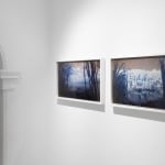 Danie Mellor, Dark star waterfall, 2025