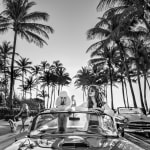 David Yarrow, Worth Avenue (Color), 2025