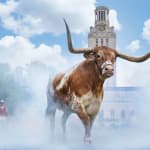 David Yarrow, Worth Avenue (Color), 2025