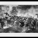 David Yarrow, Worth Avenue (Color), 2025