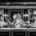 David Yarrow, The Dogs of Palm Beach, 2025