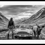 David Yarrow, The Lion (Color), 2025