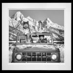 David Yarrow, Ford, 2025