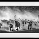 David Yarrow, Worth Avenue (Color), 2025
