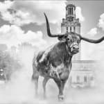 David Yarrow, Worth Avenue (Color), 2025