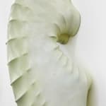 Grace Woodcock, Recalibrate 23.5°, 2023