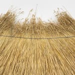 Magda Blasinska, The Feel of Those Things, 2024