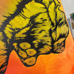 Thumbnail of additional image