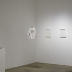 Lenka Clayton, Unfolded Whale 08/08/2021, 2021