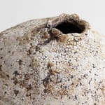 Tim Martin, After the Fire, 2024