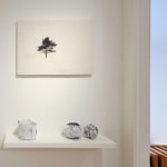 Sara Brennan, Estate Tree III, 2023