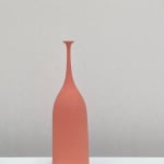 Sophie Cook, Medium/tall wide bottle dry coral, 2023